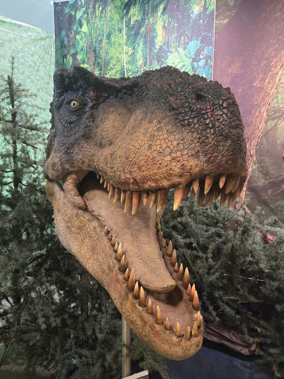 T Rex dinosaur